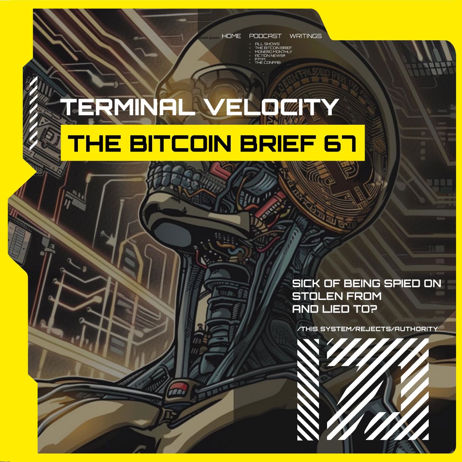Terminal Velocity | THE BITCOIN BRIEF 67
