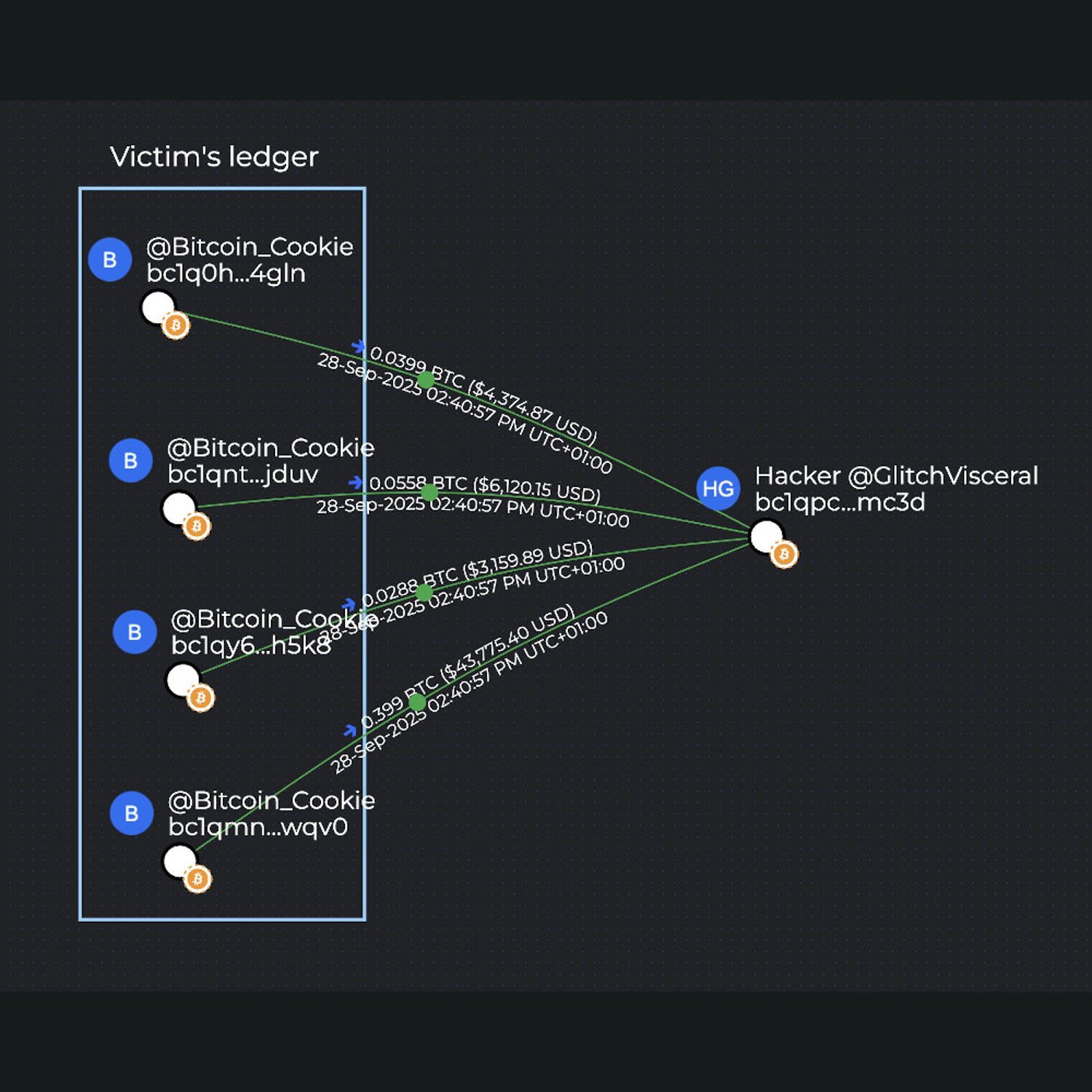 Phishing Incident: Storing Seeds Online