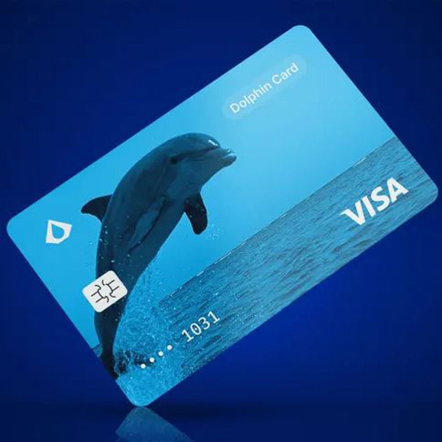 Dolphin Card Suspended