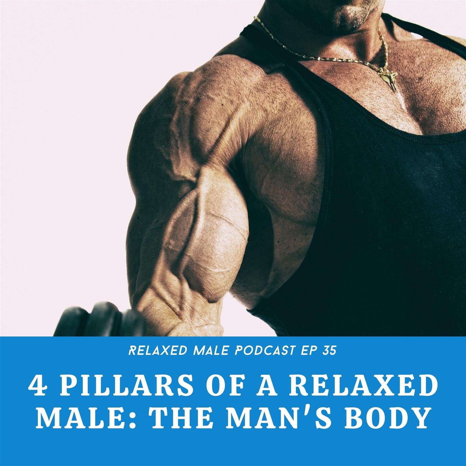 4 Pillars of Relaxed Male: The Man's Body