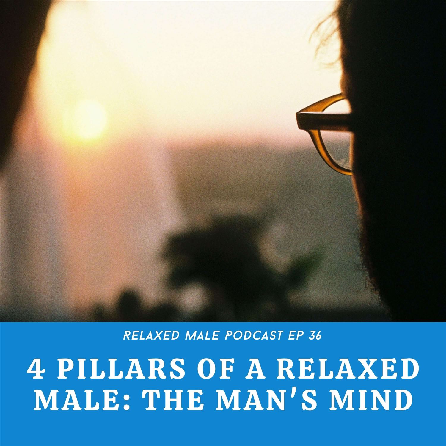 The 4 Pillars: The Man's Mind