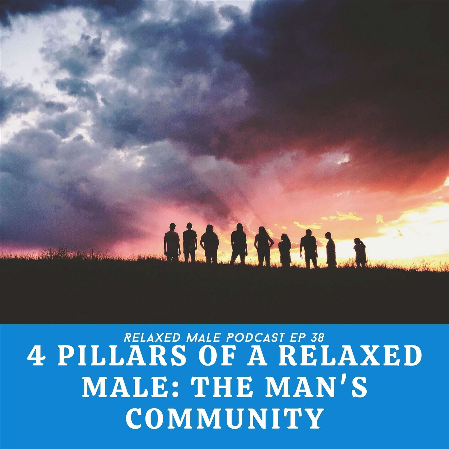 The 4 Pillars of Relaxed Male: The Man's Community