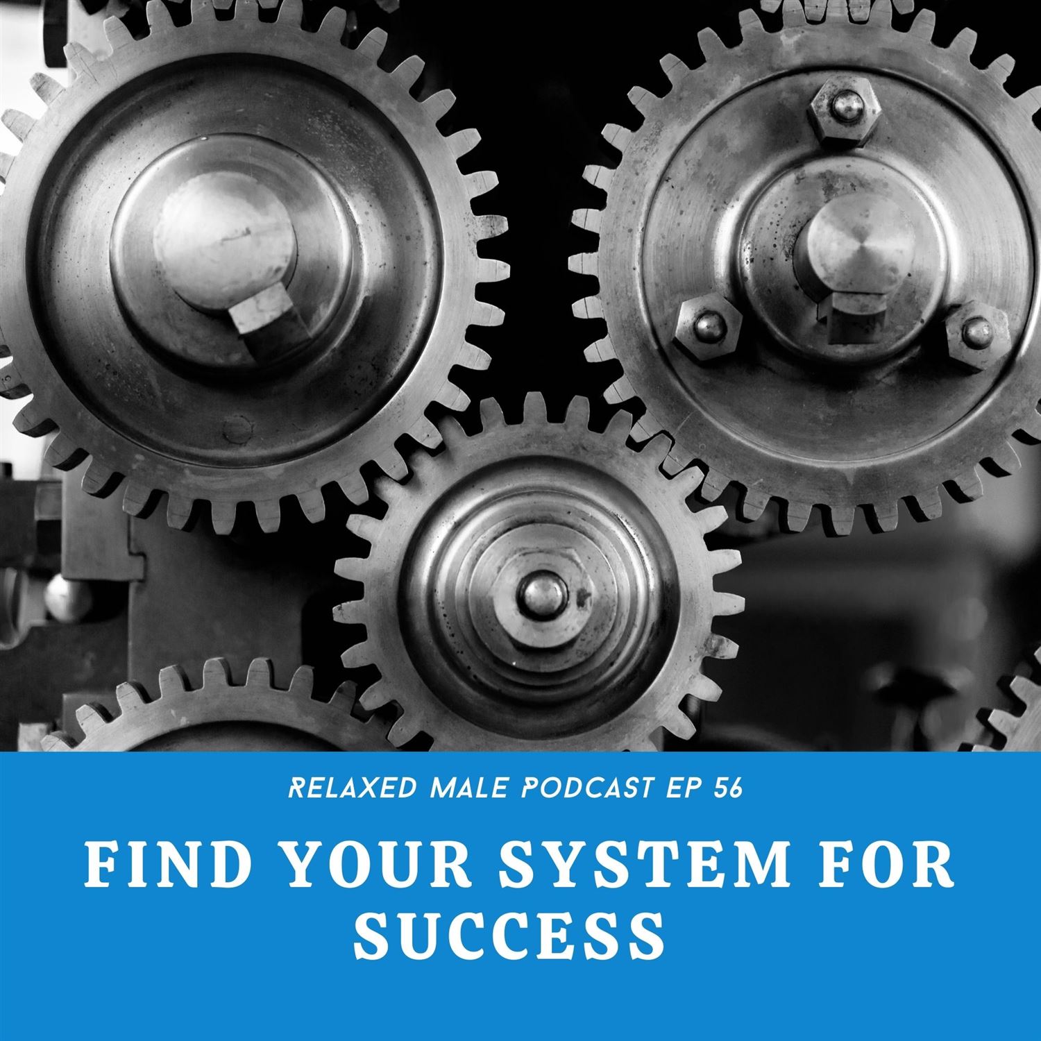 Find Your System for Success