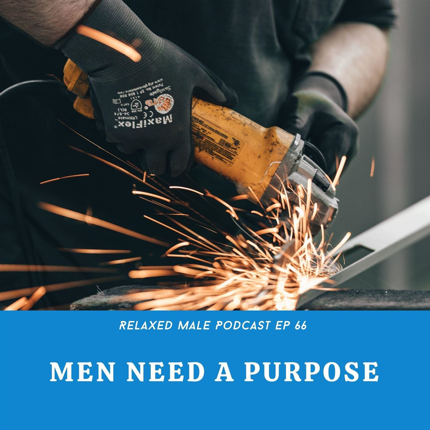 Men Need A Purpose