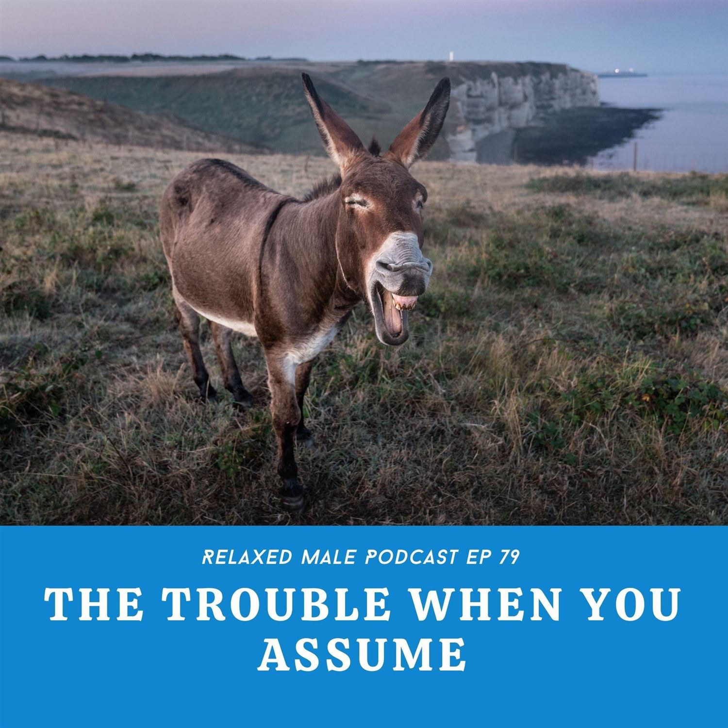 The Trouble When You AssUMe