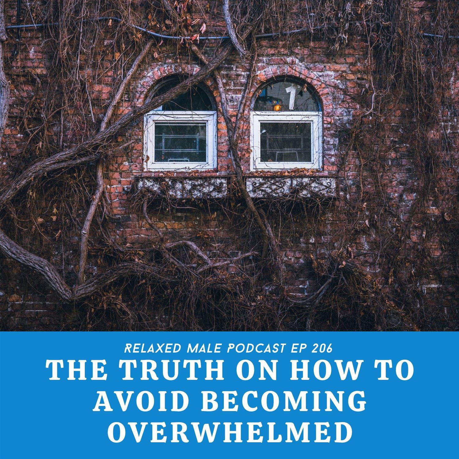 The Truth On How to Avoid Becoming Overwhelmed