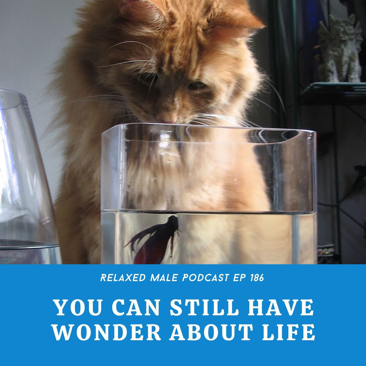 You Can Still Have Wonder About Life